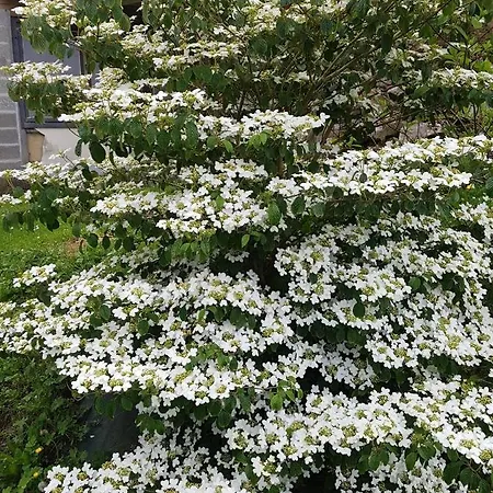 Les De La Renardiere Gueures