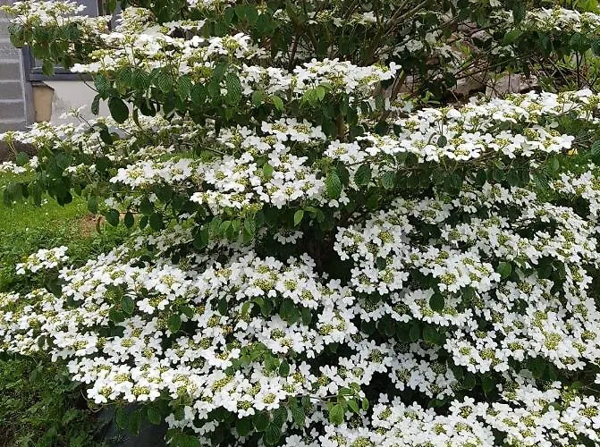 Les De La Renardiere Gueures